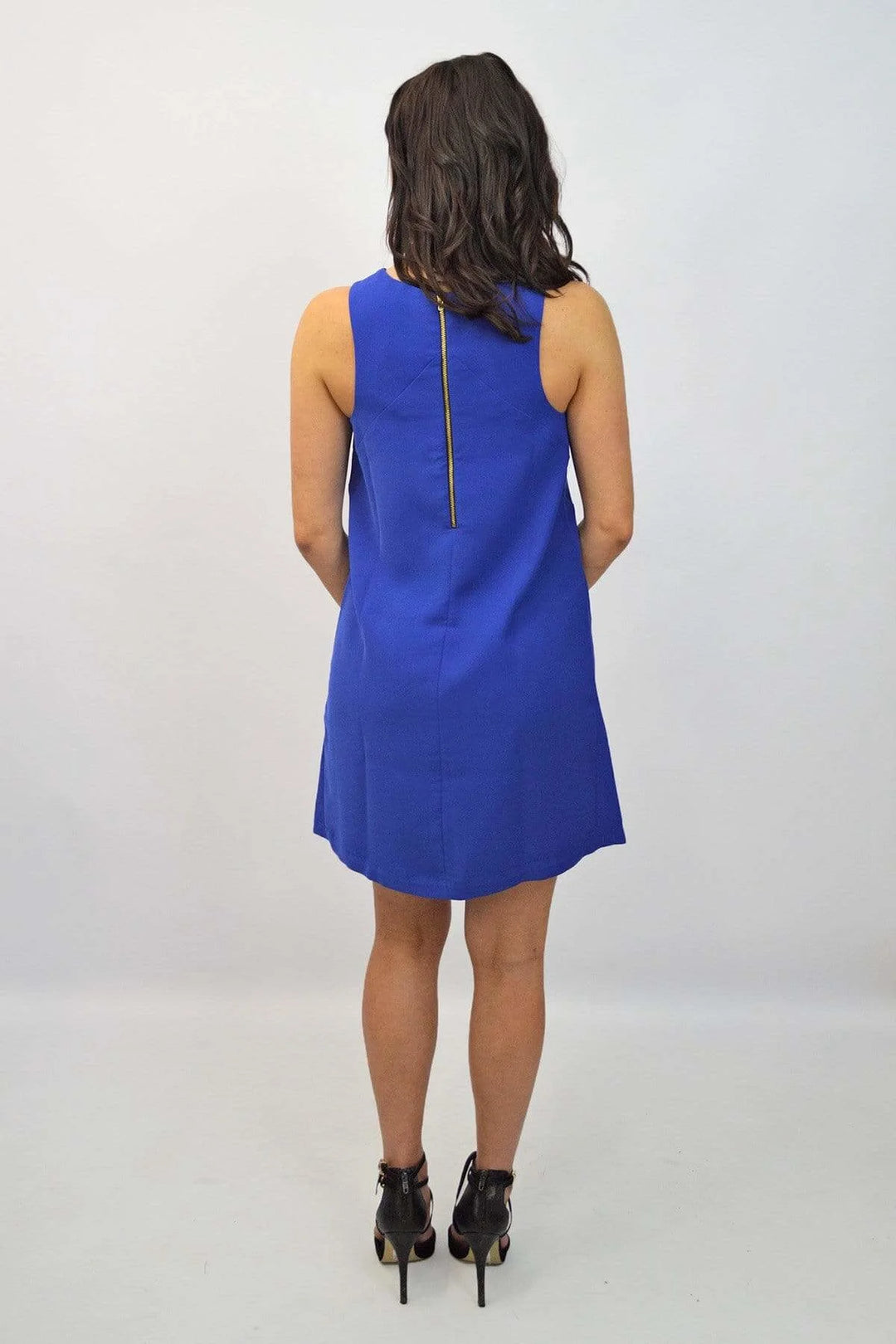 Sleeveless A Line Dress Secret Label Sleeveless A Line Dress Secret Label