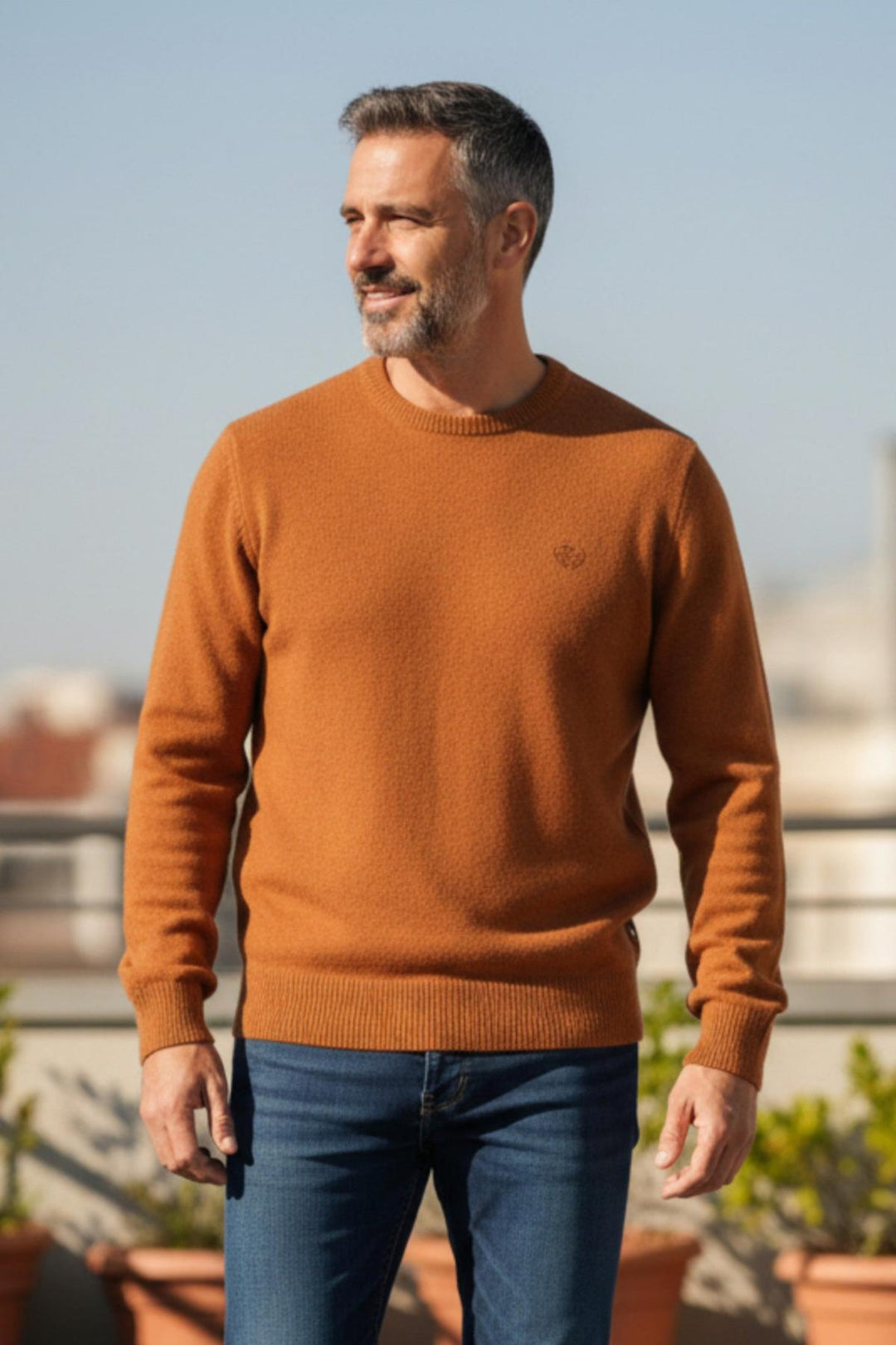Crew Neck Wool Blend Jumper