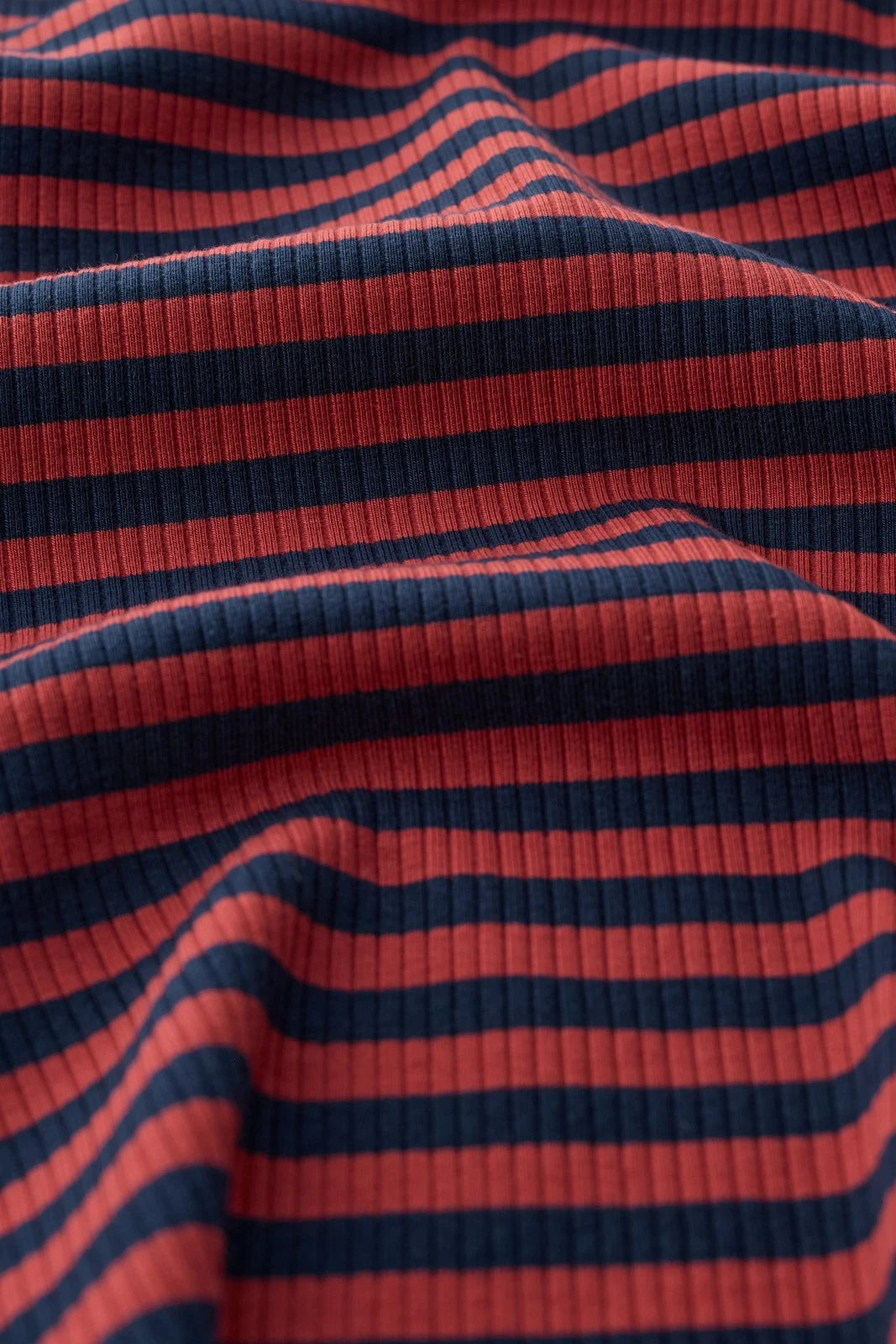 Striped Ribbed Roll Neck Top