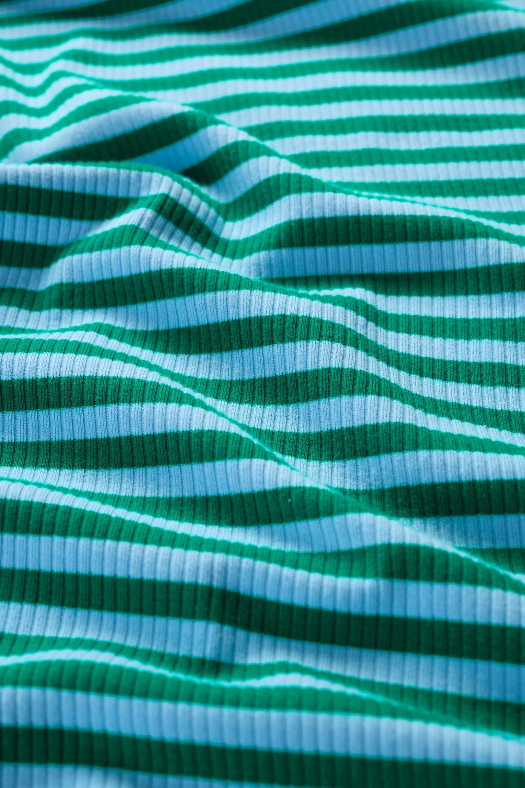 Striped Ribbed Roll Neck Top